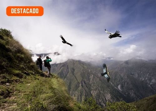 Cusco a Chonta condores