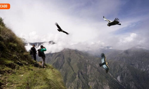 Mirador del Vuelo de Cóndores en Chonta